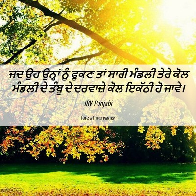 Picture 06 - ਗਿਣਤੀ 10:3 PANIRV - ਜਦ ਉਹ ਉਨ੍ਹਾਂ ਨੂੰ - Bible Verse Picture