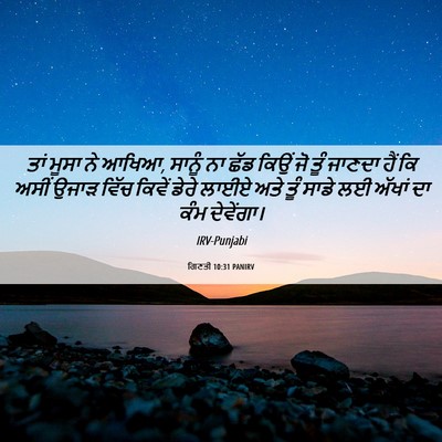 Picture 06 - ਗਿਣਤੀ 10:31 PANIRV - ਤਾਂ ਮੂਸਾ ਨੇ ਆਖਿਆ, - Bible Verse Picture