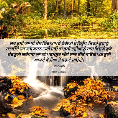 Picture 06 - ਗਿਣਤੀ 10:9 PANIRV - ਜਦ ਤੁਸੀਂ ਆਪਣੇ ਦੇਸ - Bible Verse Picture