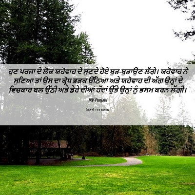 Picture 06 - ਗਿਣਤੀ 11:1 PANIRV - ਹੁਣ ਪਰਜਾ ਦੇ ਲੋਕ - Bible Verse Picture