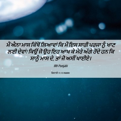 Picture 06 - ਗਿਣਤੀ 11:13 PANIRV - ਮੈਂ ਐਨਾ ਮਾਸ ਕਿੱਥੋਂ - Bible Verse Picture