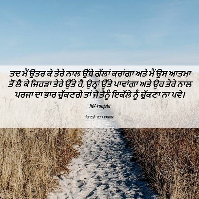 Picture 06 - ਗਿਣਤੀ 11:17 PANIRV - ਤਦ ਮੈਂ ਉਤਰ ਕੇ ਤੇਰੇ - Bible Verse Picture