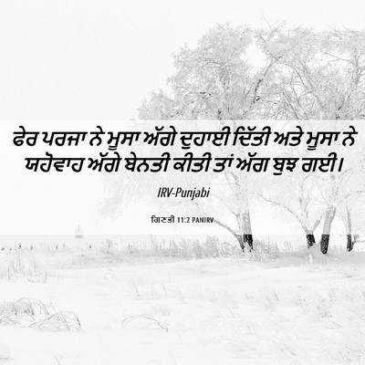 Picture 06 - ਗਿਣਤੀ 11:2 PANIRV - ਫੇਰ ਪਰਜਾ ਨੇ ਮੂਸਾ - Bible Verse Picture