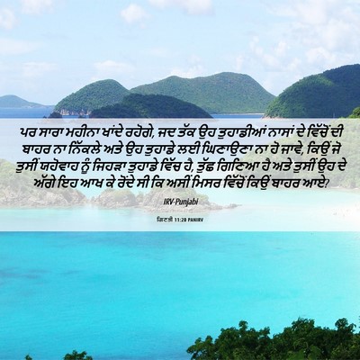 Picture 06 - ਗਿਣਤੀ 11:20 PANIRV - ਪਰ ਸਾਰਾ ਮਹੀਨਾ - Bible Verse Picture