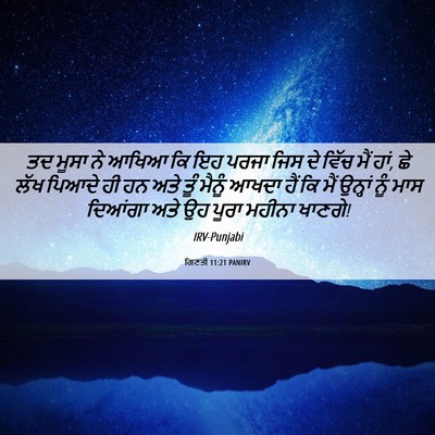Picture 06 - ਗਿਣਤੀ 11:21 PANIRV - ਤਦ ਮੂਸਾ ਨੇ ਆਖਿਆ ਕਿ - Bible Verse Picture