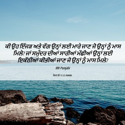 Picture 06 - ਗਿਣਤੀ 11:22 PANIRV - ਕੀ ਉਹ ਇੱਜੜ ਅਤੇ ਵੱਗ - Bible Verse Picture
