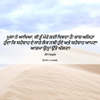 Picture 06 - ਗਿਣਤੀ 11:29 PANIRV - ਮੂਸਾ ਨੇ ਆਖਿਆ, ਕੀ - Bible Verse Picture