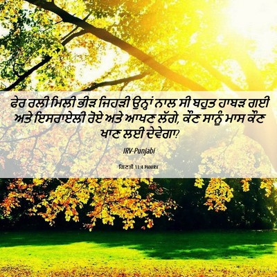 Picture 06 - ਗਿਣਤੀ 11:4 PANIRV - ਫੇਰ ਰਲੀ ਮਿਲੀ ਭੀੜ - Bible Verse Picture
