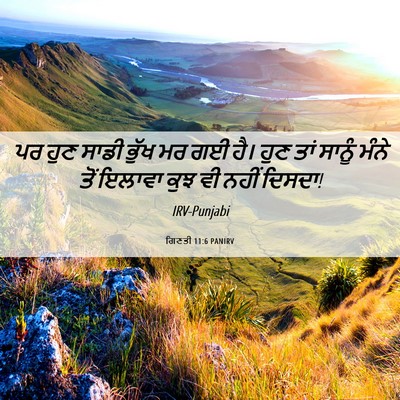 Picture 06 - ਗਿਣਤੀ 11:6 PANIRV - ਪਰ ਹੁਣ ਸਾਡੀ ਭੁੱਖ ਮਰ - Bible Verse Picture