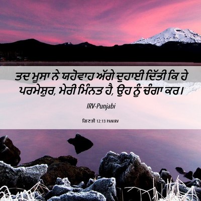 Picture 06 - ਗਿਣਤੀ 12:13 PANIRV - ਤਦ ਮੂਸਾ ਨੇ ਯਹੋਵਾਹ - Bible Verse Picture