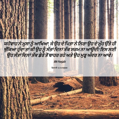 Picture 06 - ਗਿਣਤੀ 12:14 PANIRV - ਯਹੋਵਾਹ ਨੇ ਮੂਸਾ ਨੂੰ - Bible Verse Picture