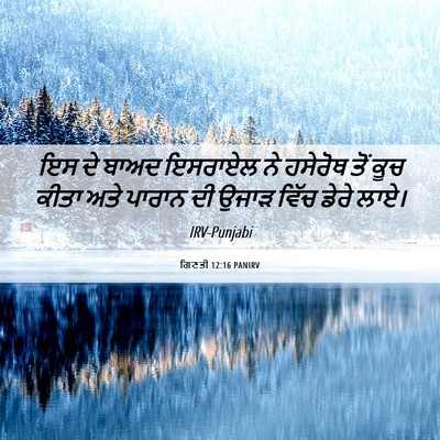 Picture 06 - ਗਿਣਤੀ 12:16 PANIRV - ਇਸ ਦੇ ਬਾਅਦ ਇਸਰਾਏਲ - Bible Verse Picture