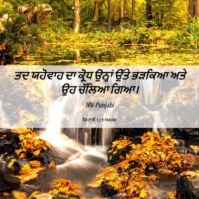Picture 06 - ਗਿਣਤੀ 12:9 PANIRV - ਤਦ ਯਹੋਵਾਹ ਦਾ ਕ੍ਰੋਧ - Bible Verse Picture