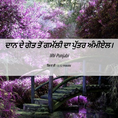 Picture 06 - ਗਿਣਤੀ 13:12 PANIRV - ਦਾਨ ਦੇ ਗੋਤ ਤੋਂ - Bible Verse Picture