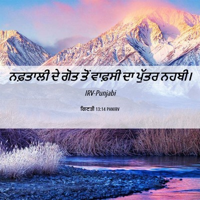Picture 06 - ਗਿਣਤੀ 13:14 PANIRV - ਨਫ਼ਤਾਲੀ ਦੇ ਗੋਤ ਤੋਂ - Bible Verse Picture