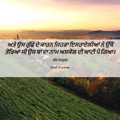 Picture 06 - ਗਿਣਤੀ 13:24 PANIRV - ਅਤੇ ਉਸ ਗੁੱਛੇ ਦੇ - Bible Verse Picture