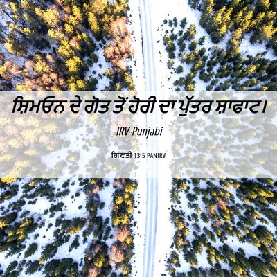 Picture 06 - ਗਿਣਤੀ 13:5 PANIRV - ਸ਼ਿਮਓਨ ਦੇ ਗੋਤ ਤੋਂ - Bible Verse Picture