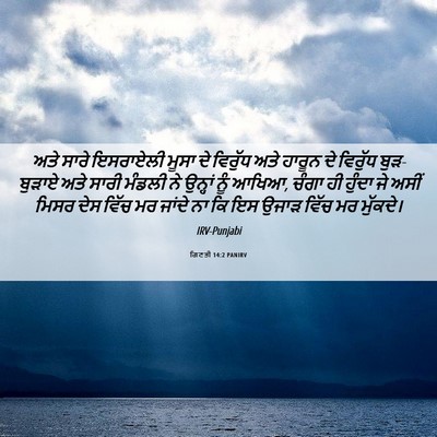 Picture 06 - ਗਿਣਤੀ 14:2 PANIRV - ਅਤੇ ਸਾਰੇ ਇਸਰਾਏਲੀ - Bible Verse Picture