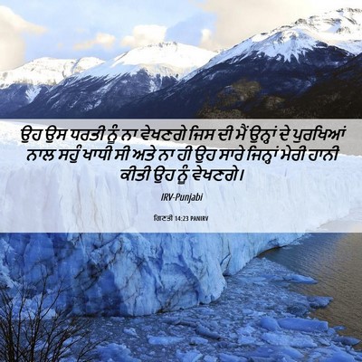 Picture 06 - ਗਿਣਤੀ 14:23 PANIRV - ਉਹ ਉਸ ਧਰਤੀ ਨੂੰ ਨਾ - Bible Verse Picture