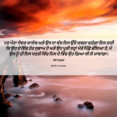 Picture 06 - ਗਿਣਤੀ 14:24 PANIRV - ਪਰ ਮੇਰਾ ਸੇਵਕ ਕਾਲੇਬ - Bible Verse Picture