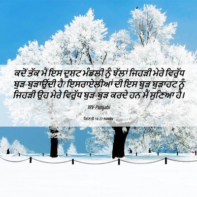 Picture 06 - ਗਿਣਤੀ 14:27 PANIRV - ਕਦੋਂ ਤੱਕ ਮੈਂ ਇਸ - Bible Verse Picture