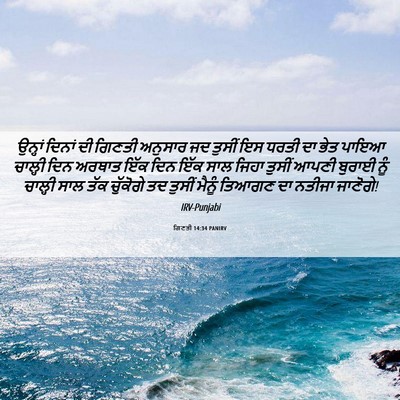 Picture 06 - ਗਿਣਤੀ 14:34 PANIRV - ਉਨ੍ਹਾਂ ਦਿਨਾਂ ਦੀ - Bible Verse Picture