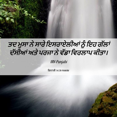 Picture 06 - ਗਿਣਤੀ 14:39 PANIRV - ਤਦ ਮੂਸਾ ਨੇ ਸਾਰੇ - Bible Verse Picture