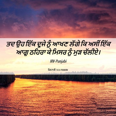 Picture 06 - ਗਿਣਤੀ 14:4 PANIRV - ਤਦ ਉਹ ਇੱਕ ਦੂਜੇ ਨੂੰ - Bible Verse Picture
