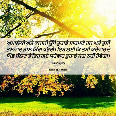 Picture 06 - ਗਿਣਤੀ 14:43 PANIRV - ਅਮਾਲੇਕੀ ਅਤੇ ਕਨਾਨੀ - Bible Verse Picture