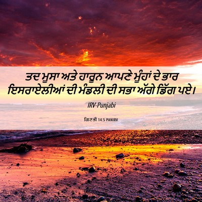 Picture 06 - ਗਿਣਤੀ 14:5 PANIRV - ਤਦ ਮੂਸਾ ਅਤੇ ਹਾਰੂਨ - Bible Verse Picture