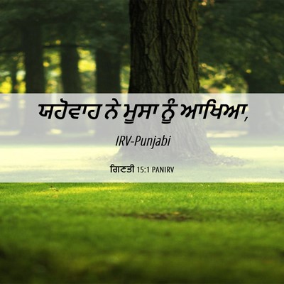Picture 06 - ਗਿਣਤੀ 15:1 PANIRV - ਯਹੋਵਾਹ ਨੇ ਮੂਸਾ ਨੂੰ - Bible Verse Picture