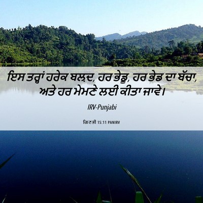 Picture 06 - ਗਿਣਤੀ 15:11 PANIRV - ਇਸ ਤਰ੍ਹਾਂ ਹਰੇਕ - Bible Verse Picture