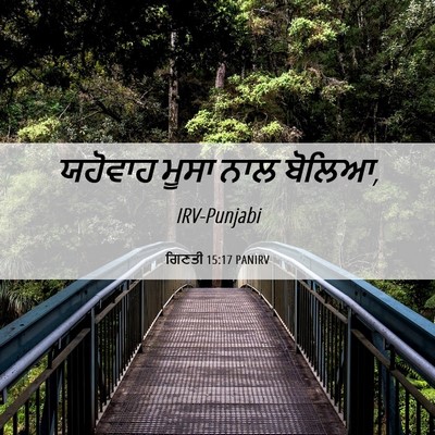 Picture 06 - ਗਿਣਤੀ 15:17 PANIRV - ਯਹੋਵਾਹ ਮੂਸਾ ਨਾਲ - Bible Verse Picture