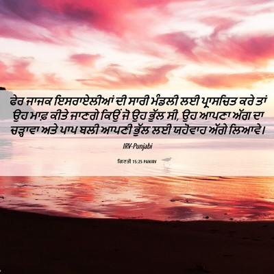 Picture 06 - ਗਿਣਤੀ 15:25 PANIRV - ਫੇਰ ਜਾਜਕ - Bible Verse Picture