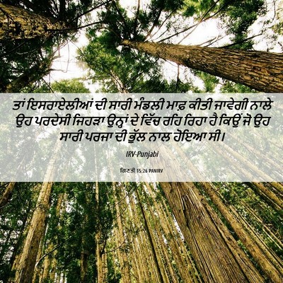 Picture 06 - ਗਿਣਤੀ 15:26 PANIRV - ਤਾਂ ਇਸਰਾਏਲੀਆਂ ਦੀ - Bible Verse Picture