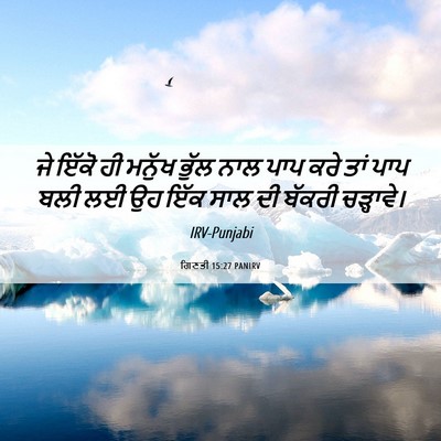 Picture 06 - ਗਿਣਤੀ 15:27 PANIRV - ਜੇ ਇੱਕੋ ਹੀ ਮਨੁੱਖ - Bible Verse Picture