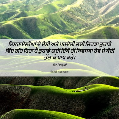 Picture 06 - ਗਿਣਤੀ 15:29 PANIRV - ਇਸਰਾਏਲੀਆਂ ਦੇ ਦੇਸੀ - Bible Verse Picture