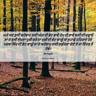 Picture 06 - ਗਿਣਤੀ 15:3 PANIRV - ਅਤੇ ਜਦ ਤੁਸੀਂ - Bible Verse Picture