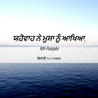 Picture 06 - ਗਿਣਤੀ 15:37 PANIRV - ਯਹੋਵਾਹ ਨੇ ਮੂਸਾ ਨੂੰ - Bible Verse Picture