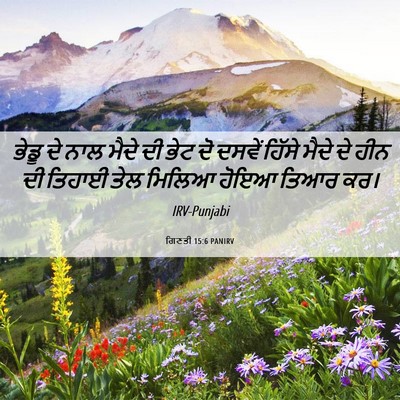 Picture 06 - ਗਿਣਤੀ 15:6 PANIRV - ਭੇਡੂ ਦੇ ਨਾਲ ਮੈਦੇ ਦੀ - Bible Verse Picture