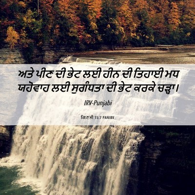 Picture 06 - ਗਿਣਤੀ 15:7 PANIRV - ਅਤੇ ਪੀਣ ਦੀ ਭੇਟ ਲਈ - Bible Verse Picture