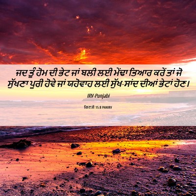 Picture 06 - ਗਿਣਤੀ 15:8 PANIRV - ਜਦ ਤੂੰ ਹੋਮ ਦੀ ਭੇਟ - Bible Verse Picture