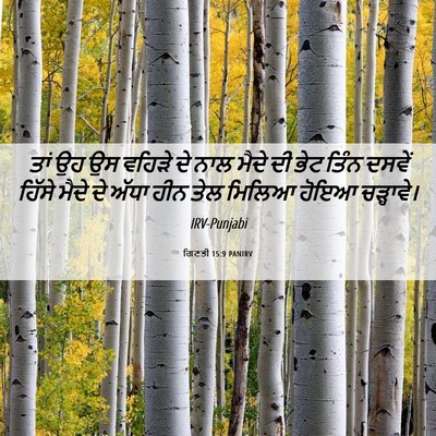 Picture 06 - ਗਿਣਤੀ 15:9 PANIRV - ਤਾਂ ਉਹ ਉਸ ਵਹਿੜੇ ਦੇ - Bible Verse Picture