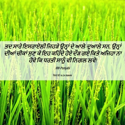 Picture 06 - ਗਿਣਤੀ 16:34 PANIRV - ਤਦ ਸਾਰੇ ਇਸਰਾਏਲੀ - Bible Verse Picture