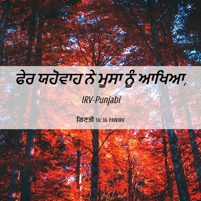 Picture 06 - ਗਿਣਤੀ 16:36 PANIRV - ਫੇਰ ਯਹੋਵਾਹ ਨੇ ਮੂਸਾ - Bible Verse Picture