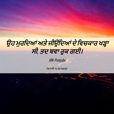 Picture 06 - ਗਿਣਤੀ 16:48 PANIRV - ਉਹ ਮੁਰਦਿਆਂ ਅਤੇ - Bible Verse Picture