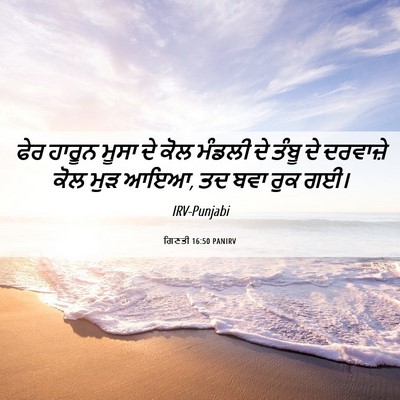 Picture 06 - ਗਿਣਤੀ 16:50 PANIRV - ਫੇਰ ਹਾਰੂਨ ਮੂਸਾ ਦੇ - Bible Verse Picture
