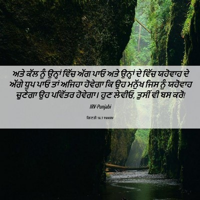 Picture 06 - ਗਿਣਤੀ 16:7 PANIRV - ਅਤੇ ਕੱਲ ਨੂੰ ਉਨ੍ਹਾਂ - Bible Verse Picture