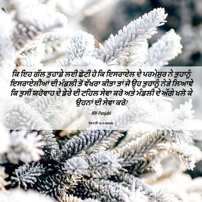 Picture 06 - ਗਿਣਤੀ 16:9 PANIRV - ਕਿ ਇਹ ਗੱਲ ਤੁਹਾਡੇ ਲਈ - Bible Verse Picture
