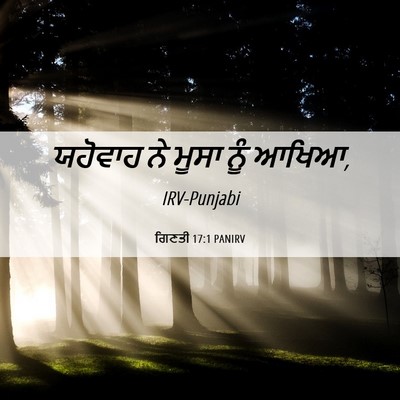 Picture 06 - ਗਿਣਤੀ 17:1 PANIRV - ਯਹੋਵਾਹ ਨੇ ਮੂਸਾ ਨੂੰ - Bible Verse Picture